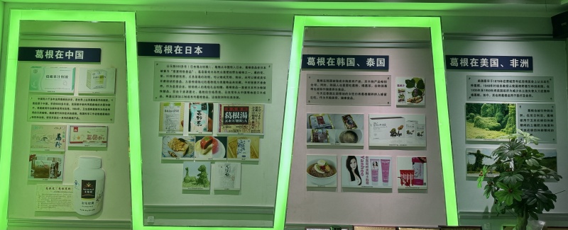 1745219338203449.jpg 葛根在全球的應用.jpg