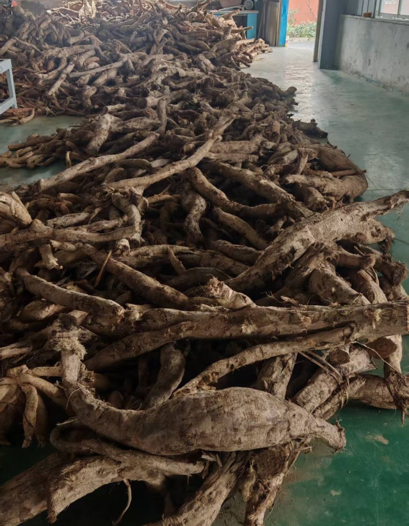 1765940097950265.jpg 野生葛根.jpg