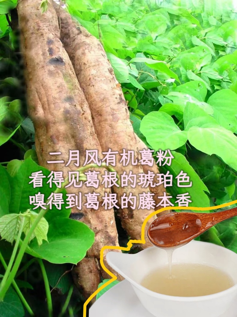 二月風(fēng)有機(jī)葛粉，看得見葛根的琥珀色，嗅得到葛根的藤本香_790.jpg