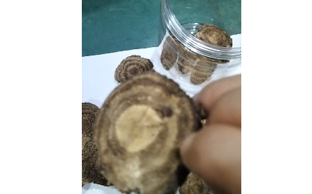 4 個細節(jié)識破假葛根:野生葛根片的形態(tài)密碼與鑒別指南