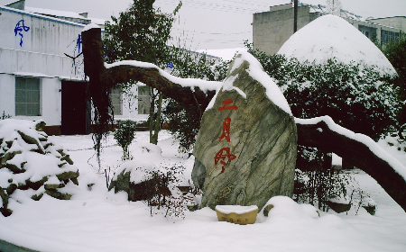 二月風致老友：一碗葛根粉的牽掛，農(nóng)博會上的重逢之約二月風盼老友：農(nóng)博會上，再續(xù)葛粉情緣