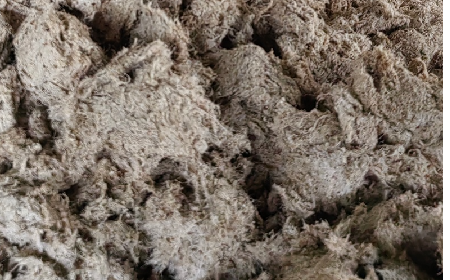 深入大洪山，只為一口純凈 -二月風今冬野生葛根收購紀實